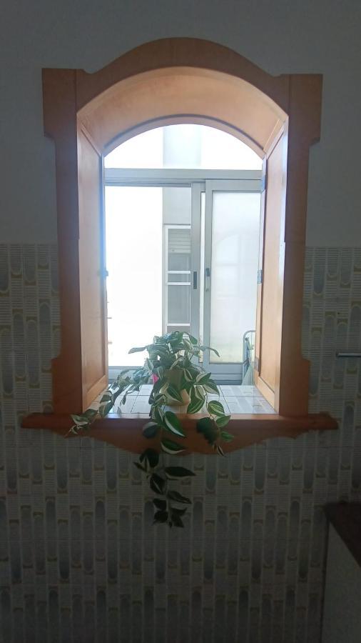 B&B L'Orchidea Piza Zewnętrze zdjęcie